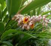 Casa de Umbanda Casa de Umbanda